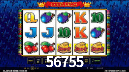 Interface Premium 56755